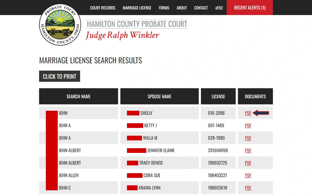 A screenshot of the probate court page showing a list of names with corresponding partner names, license numbers, and links to document PDFs, all related to specific license applications.